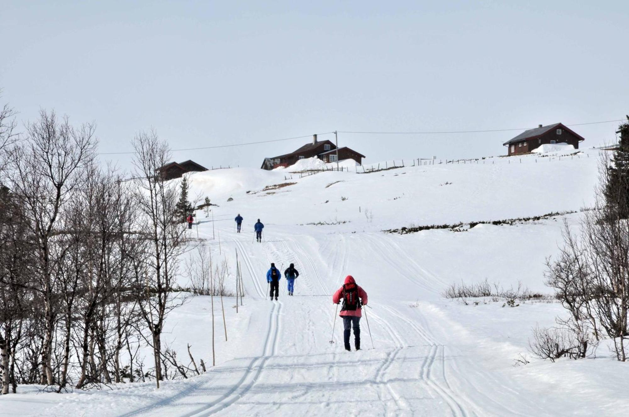 Lejlighed Havsdalsgrenda Geilo